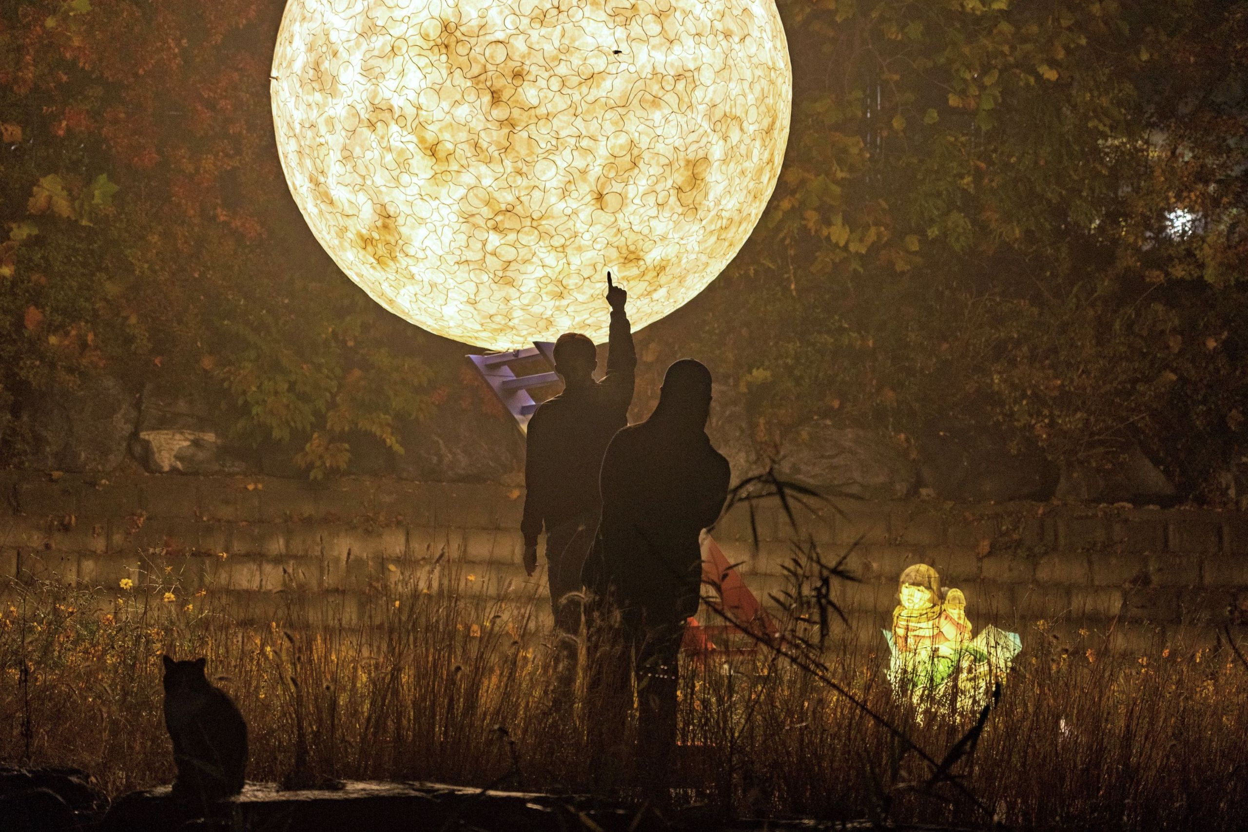 붙임2. 2020 노원달빛산책 현장사진(크기조정).jpg