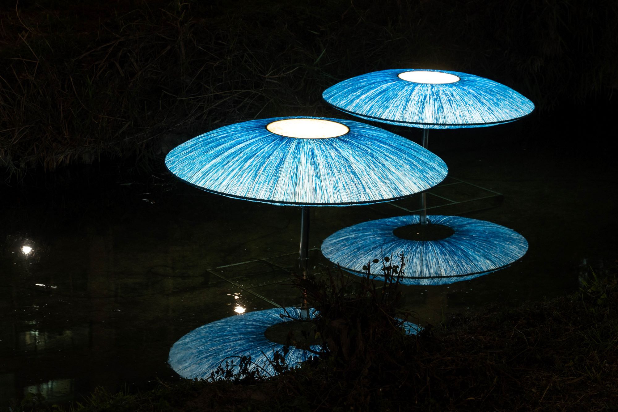 붙임 2. 푸른달의 노래, 2020(크기조정).jpg