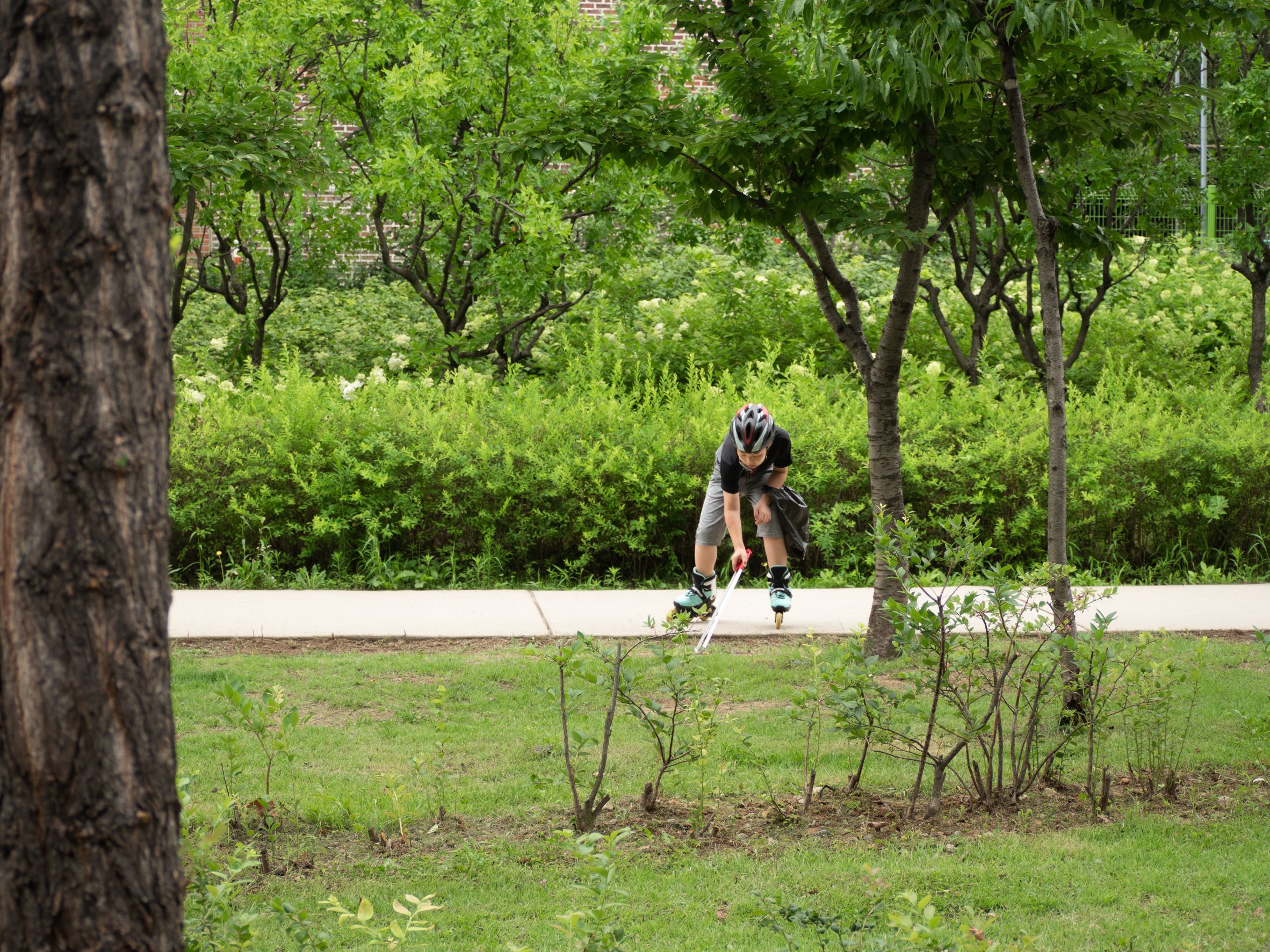 P1433068(보기용).jpg