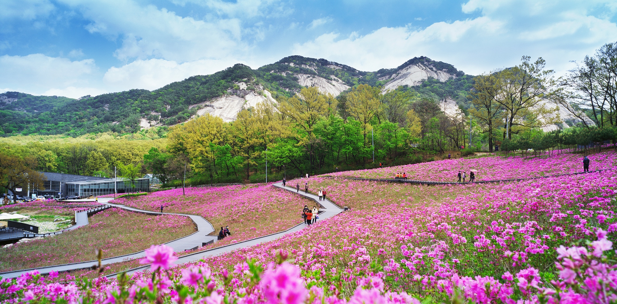 [사진1]철쭉동산_전경.jpg