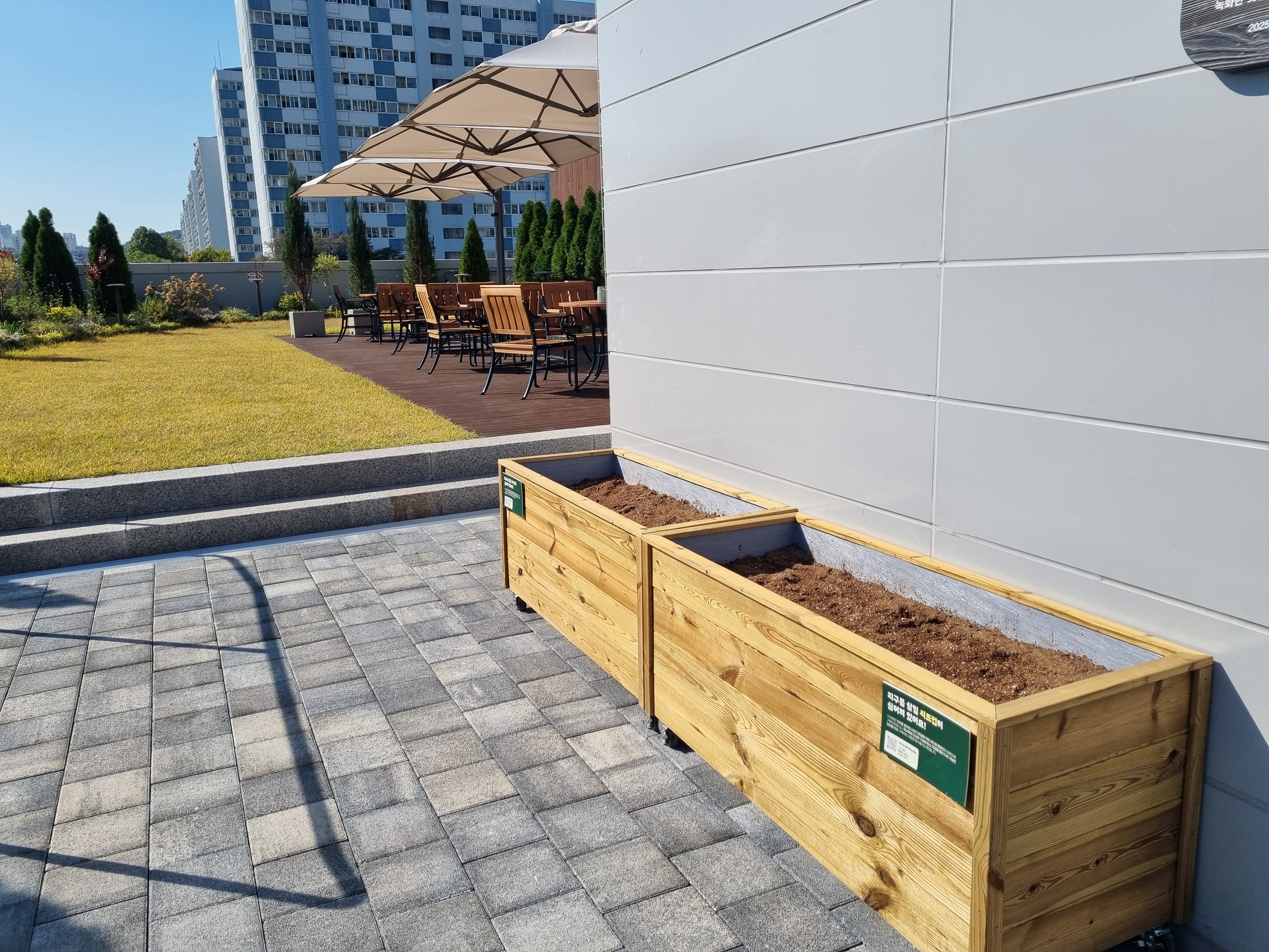 폐기물 대신 새싹으로…월계도서관에 기부된 ‘씨드컵 화분’