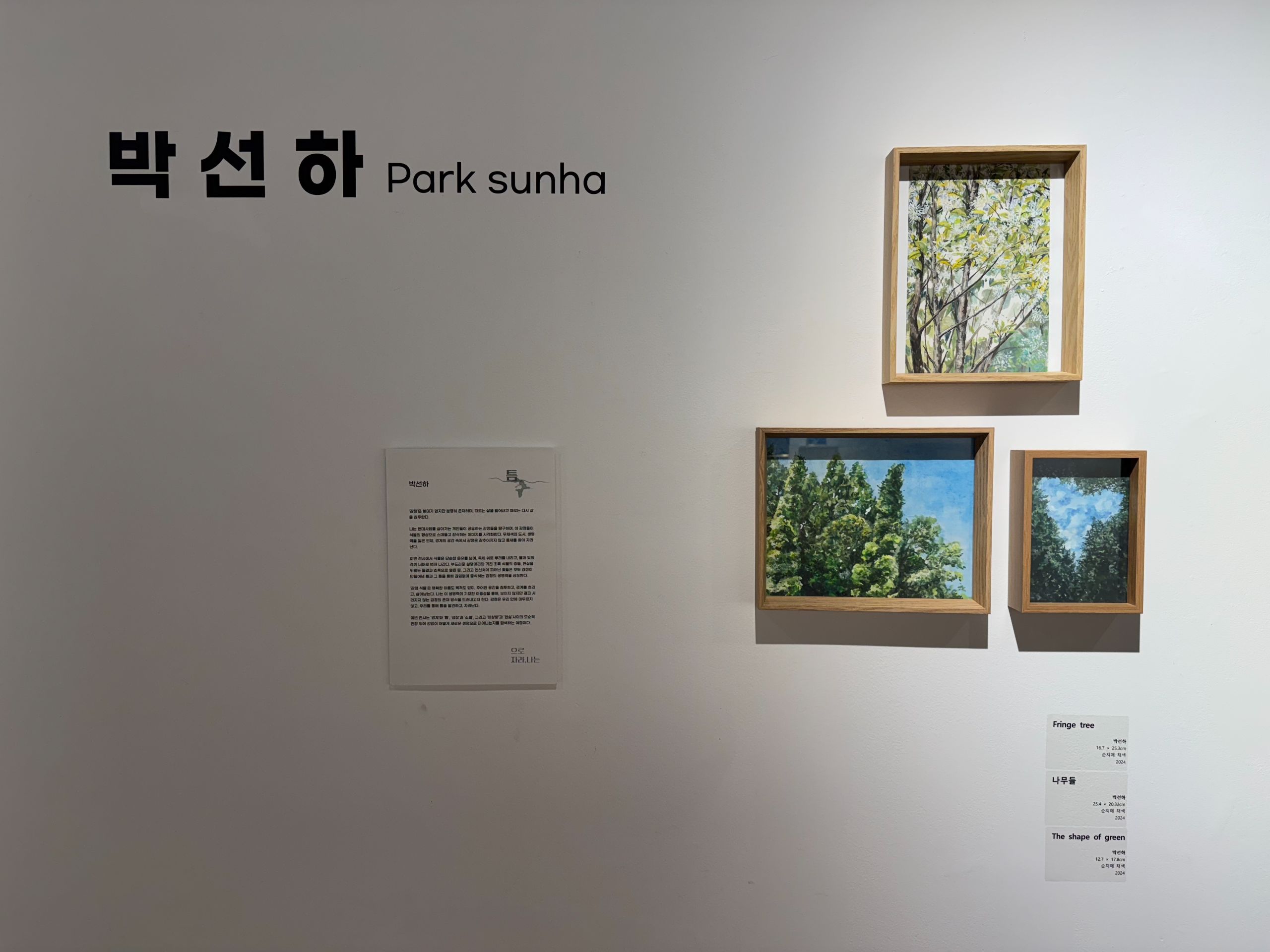 틈으로 자라나는 (19).jpg